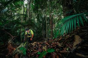 BIB: 
                            <button type="button" onclick="openModal(26431970)" class="btn btn-primary btn-sm float-right btn-popup" data-toggle="modal" data-target=".modal-high-quality">
                        <i class="fas fa-shopping-cart"></i> Add to Cart
                    </button>
                                            <button type="button" onclick="isThisMe(26431970, true)" class="btn btn-success btn-sm float-right btn-popup btn-isme hidden" data-toggle="tooltip" data-placement="bottom" title="นี่คือรูปของคุณใช่ไหม คลิกที่นี่เพื่อเอาเข้าอัลบั้ม">
                        <i class="fas fa-plus"></i> Add to album
                    </button>
                    <button type="button" onclick="isThisMe(26431970, false)" class="btn btn-warning btn-sm float-right btn-popup btn-isnotme hidden">
                        <i class="fas fa-ban"></i> Remove from album
                    </button>