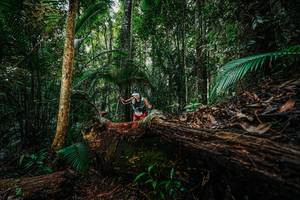 BIB: 
                            <button type="button" onclick="openModal(26425978)" class="btn btn-primary btn-sm float-right btn-popup" data-toggle="modal" data-target=".modal-high-quality">
                        <i class="fas fa-shopping-cart"></i> Add to Cart
                    </button>
                                            <button type="button" onclick="isThisMe(26425978, true)" class="btn btn-success btn-sm float-right btn-popup btn-isme hidden" data-toggle="tooltip" data-placement="bottom" title="นี่คือรูปของคุณใช่ไหม คลิกที่นี่เพื่อเอาเข้าอัลบั้ม">
                        <i class="fas fa-plus"></i> Add to album
                    </button>
                    <button type="button" onclick="isThisMe(26425978, false)" class="btn btn-warning btn-sm float-right btn-popup btn-isnotme hidden">
                        <i class="fas fa-ban"></i> Remove from album
                    </button>