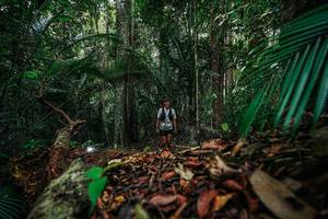 BIB: 
                            <button type="button" onclick="openModal(26427113)" class="btn btn-primary btn-sm float-right btn-popup" data-toggle="modal" data-target=".modal-high-quality">
                        <i class="fas fa-shopping-cart"></i> Add to Cart
                    </button>
                                            <button type="button" onclick="isThisMe(26427113, true)" class="btn btn-success btn-sm float-right btn-popup btn-isme hidden" data-toggle="tooltip" data-placement="bottom" title="นี่คือรูปของคุณใช่ไหม คลิกที่นี่เพื่อเอาเข้าอัลบั้ม">
                        <i class="fas fa-plus"></i> Add to album
                    </button>
                    <button type="button" onclick="isThisMe(26427113, false)" class="btn btn-warning btn-sm float-right btn-popup btn-isnotme hidden">
                        <i class="fas fa-ban"></i> Remove from album
                    </button>