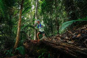 BIB: 
                            <button type="button" onclick="openModal(26425783)" class="btn btn-primary btn-sm float-right btn-popup" data-toggle="modal" data-target=".modal-high-quality">
                        <i class="fas fa-shopping-cart"></i> Add to Cart
                    </button>
                                            <button type="button" onclick="isThisMe(26425783, true)" class="btn btn-success btn-sm float-right btn-popup btn-isme hidden" data-toggle="tooltip" data-placement="bottom" title="นี่คือรูปของคุณใช่ไหม คลิกที่นี่เพื่อเอาเข้าอัลบั้ม">
                        <i class="fas fa-plus"></i> Add to album
                    </button>
                    <button type="button" onclick="isThisMe(26425783, false)" class="btn btn-warning btn-sm float-right btn-popup btn-isnotme hidden">
                        <i class="fas fa-ban"></i> Remove from album
                    </button>