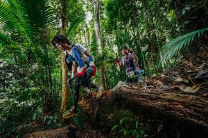 BIB: 
                            <button type="button" onclick="openModal(26425362)" class="btn btn-primary btn-sm float-right btn-popup" data-toggle="modal" data-target=".modal-high-quality">
                        <i class="fas fa-shopping-cart"></i> Add to Cart
                    </button>
                                            <button type="button" onclick="isThisMe(26425362, true)" class="btn btn-success btn-sm float-right btn-popup btn-isme hidden" data-toggle="tooltip" data-placement="bottom" title="นี่คือรูปของคุณใช่ไหม คลิกที่นี่เพื่อเอาเข้าอัลบั้ม">
                        <i class="fas fa-plus"></i> Add to album
                    </button>
                    <button type="button" onclick="isThisMe(26425362, false)" class="btn btn-warning btn-sm float-right btn-popup btn-isnotme hidden">
                        <i class="fas fa-ban"></i> Remove from album
                    </button>