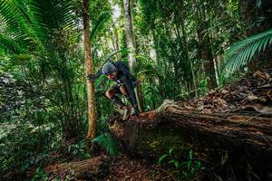 BIB: 
                            <button type="button" onclick="openModal(26425721)" class="btn btn-primary btn-sm float-right btn-popup" data-toggle="modal" data-target=".modal-high-quality">
                        <i class="fas fa-shopping-cart"></i> Add to Cart
                    </button>
                                            <button type="button" onclick="isThisMe(26425721, true)" class="btn btn-success btn-sm float-right btn-popup btn-isme hidden" data-toggle="tooltip" data-placement="bottom" title="นี่คือรูปของคุณใช่ไหม คลิกที่นี่เพื่อเอาเข้าอัลบั้ม">
                        <i class="fas fa-plus"></i> Add to album
                    </button>
                    <button type="button" onclick="isThisMe(26425721, false)" class="btn btn-warning btn-sm float-right btn-popup btn-isnotme hidden">
                        <i class="fas fa-ban"></i> Remove from album
                    </button>