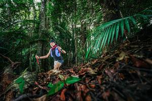 BIB: 
                            <button type="button" onclick="openModal(26431001)" class="btn btn-primary btn-sm float-right btn-popup" data-toggle="modal" data-target=".modal-high-quality">
                        <i class="fas fa-shopping-cart"></i> Add to Cart
                    </button>
                                            <button type="button" onclick="isThisMe(26431001, true)" class="btn btn-success btn-sm float-right btn-popup btn-isme hidden" data-toggle="tooltip" data-placement="bottom" title="นี่คือรูปของคุณใช่ไหม คลิกที่นี่เพื่อเอาเข้าอัลบั้ม">
                        <i class="fas fa-plus"></i> Add to album
                    </button>
                    <button type="button" onclick="isThisMe(26431001, false)" class="btn btn-warning btn-sm float-right btn-popup btn-isnotme hidden">
                        <i class="fas fa-ban"></i> Remove from album
                    </button>