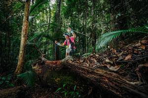 BIB: 
                            <button type="button" onclick="openModal(26426065)" class="btn btn-primary btn-sm float-right btn-popup" data-toggle="modal" data-target=".modal-high-quality">
                        <i class="fas fa-shopping-cart"></i> Add to Cart
                    </button>
                                            <button type="button" onclick="isThisMe(26426065, true)" class="btn btn-success btn-sm float-right btn-popup btn-isme hidden" data-toggle="tooltip" data-placement="bottom" title="นี่คือรูปของคุณใช่ไหม คลิกที่นี่เพื่อเอาเข้าอัลบั้ม">
                        <i class="fas fa-plus"></i> Add to album
                    </button>
                    <button type="button" onclick="isThisMe(26426065, false)" class="btn btn-warning btn-sm float-right btn-popup btn-isnotme hidden">
                        <i class="fas fa-ban"></i> Remove from album
                    </button>