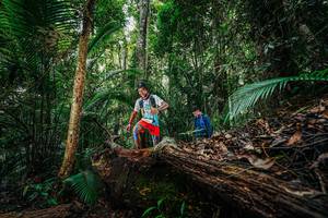 BIB: 
                            <button type="button" onclick="openModal(26425535)" class="btn btn-primary btn-sm float-right btn-popup" data-toggle="modal" data-target=".modal-high-quality">
                        <i class="fas fa-shopping-cart"></i> Add to Cart
                    </button>
                                            <button type="button" onclick="isThisMe(26425535, true)" class="btn btn-success btn-sm float-right btn-popup btn-isme hidden" data-toggle="tooltip" data-placement="bottom" title="นี่คือรูปของคุณใช่ไหม คลิกที่นี่เพื่อเอาเข้าอัลบั้ม">
                        <i class="fas fa-plus"></i> Add to album
                    </button>
                    <button type="button" onclick="isThisMe(26425535, false)" class="btn btn-warning btn-sm float-right btn-popup btn-isnotme hidden">
                        <i class="fas fa-ban"></i> Remove from album
                    </button>