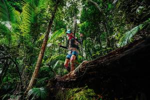 BIB: 
                            <button type="button" onclick="openModal(26422639)" class="btn btn-primary btn-sm float-right btn-popup" data-toggle="modal" data-target=".modal-high-quality">
                        <i class="fas fa-shopping-cart"></i> Add to Cart
                    </button>
                                            <button type="button" onclick="isThisMe(26422639, true)" class="btn btn-success btn-sm float-right btn-popup btn-isme hidden" data-toggle="tooltip" data-placement="bottom" title="นี่คือรูปของคุณใช่ไหม คลิกที่นี่เพื่อเอาเข้าอัลบั้ม">
                        <i class="fas fa-plus"></i> Add to album
                    </button>
                    <button type="button" onclick="isThisMe(26422639, false)" class="btn btn-warning btn-sm float-right btn-popup btn-isnotme hidden">
                        <i class="fas fa-ban"></i> Remove from album
                    </button>