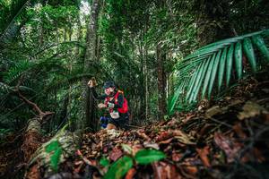 BIB: 
                            <button type="button" onclick="openModal(26430144)" class="btn btn-primary btn-sm float-right btn-popup" data-toggle="modal" data-target=".modal-high-quality">
                        <i class="fas fa-shopping-cart"></i> Add to Cart
                    </button>
                                            <button type="button" onclick="isThisMe(26430144, true)" class="btn btn-success btn-sm float-right btn-popup btn-isme hidden" data-toggle="tooltip" data-placement="bottom" title="นี่คือรูปของคุณใช่ไหม คลิกที่นี่เพื่อเอาเข้าอัลบั้ม">
                        <i class="fas fa-plus"></i> Add to album
                    </button>
                    <button type="button" onclick="isThisMe(26430144, false)" class="btn btn-warning btn-sm float-right btn-popup btn-isnotme hidden">
                        <i class="fas fa-ban"></i> Remove from album
                    </button>