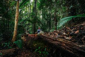 BIB: 
                            <button type="button" onclick="openModal(26425953)" class="btn btn-primary btn-sm float-right btn-popup" data-toggle="modal" data-target=".modal-high-quality">
                        <i class="fas fa-shopping-cart"></i> Add to Cart
                    </button>
                                            <button type="button" onclick="isThisMe(26425953, true)" class="btn btn-success btn-sm float-right btn-popup btn-isme hidden" data-toggle="tooltip" data-placement="bottom" title="นี่คือรูปของคุณใช่ไหม คลิกที่นี่เพื่อเอาเข้าอัลบั้ม">
                        <i class="fas fa-plus"></i> Add to album
                    </button>
                    <button type="button" onclick="isThisMe(26425953, false)" class="btn btn-warning btn-sm float-right btn-popup btn-isnotme hidden">
                        <i class="fas fa-ban"></i> Remove from album
                    </button>