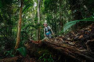 BIB: 
                            <button type="button" onclick="openModal(26425268)" class="btn btn-primary btn-sm float-right btn-popup" data-toggle="modal" data-target=".modal-high-quality">
                        <i class="fas fa-shopping-cart"></i> Add to Cart
                    </button>
                                            <button type="button" onclick="isThisMe(26425268, true)" class="btn btn-success btn-sm float-right btn-popup btn-isme hidden" data-toggle="tooltip" data-placement="bottom" title="นี่คือรูปของคุณใช่ไหม คลิกที่นี่เพื่อเอาเข้าอัลบั้ม">
                        <i class="fas fa-plus"></i> Add to album
                    </button>
                    <button type="button" onclick="isThisMe(26425268, false)" class="btn btn-warning btn-sm float-right btn-popup btn-isnotme hidden">
                        <i class="fas fa-ban"></i> Remove from album
                    </button>