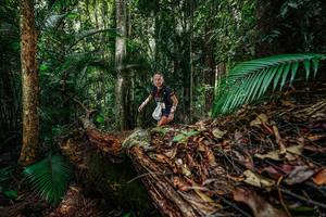 BIB: 
                            <button type="button" onclick="openModal(26426652)" class="btn btn-primary btn-sm float-right btn-popup" data-toggle="modal" data-target=".modal-high-quality">
                        <i class="fas fa-shopping-cart"></i> Add to Cart
                    </button>
                                            <button type="button" onclick="isThisMe(26426652, true)" class="btn btn-success btn-sm float-right btn-popup btn-isme hidden" data-toggle="tooltip" data-placement="bottom" title="นี่คือรูปของคุณใช่ไหม คลิกที่นี่เพื่อเอาเข้าอัลบั้ม">
                        <i class="fas fa-plus"></i> Add to album
                    </button>
                    <button type="button" onclick="isThisMe(26426652, false)" class="btn btn-warning btn-sm float-right btn-popup btn-isnotme hidden">
                        <i class="fas fa-ban"></i> Remove from album
                    </button>