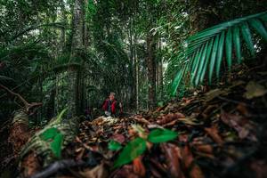 BIB: 
                            <button type="button" onclick="openModal(26431149)" class="btn btn-primary btn-sm float-right btn-popup" data-toggle="modal" data-target=".modal-high-quality">
                        <i class="fas fa-shopping-cart"></i> Add to Cart
                    </button>
                                            <button type="button" onclick="isThisMe(26431149, true)" class="btn btn-success btn-sm float-right btn-popup btn-isme hidden" data-toggle="tooltip" data-placement="bottom" title="นี่คือรูปของคุณใช่ไหม คลิกที่นี่เพื่อเอาเข้าอัลบั้ม">
                        <i class="fas fa-plus"></i> Add to album
                    </button>
                    <button type="button" onclick="isThisMe(26431149, false)" class="btn btn-warning btn-sm float-right btn-popup btn-isnotme hidden">
                        <i class="fas fa-ban"></i> Remove from album
                    </button>