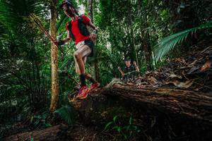 BIB: 
                            <button type="button" onclick="openModal(26425052)" class="btn btn-primary btn-sm float-right btn-popup" data-toggle="modal" data-target=".modal-high-quality">
                        <i class="fas fa-shopping-cart"></i> Add to Cart
                    </button>
                                            <button type="button" onclick="isThisMe(26425052, true)" class="btn btn-success btn-sm float-right btn-popup btn-isme hidden" data-toggle="tooltip" data-placement="bottom" title="นี่คือรูปของคุณใช่ไหม คลิกที่นี่เพื่อเอาเข้าอัลบั้ม">
                        <i class="fas fa-plus"></i> Add to album
                    </button>
                    <button type="button" onclick="isThisMe(26425052, false)" class="btn btn-warning btn-sm float-right btn-popup btn-isnotme hidden">
                        <i class="fas fa-ban"></i> Remove from album
                    </button>