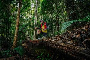 BIB: 
                            <button type="button" onclick="openModal(26425773)" class="btn btn-primary btn-sm float-right btn-popup" data-toggle="modal" data-target=".modal-high-quality">
                        <i class="fas fa-shopping-cart"></i> Add to Cart
                    </button>
                                            <button type="button" onclick="isThisMe(26425773, true)" class="btn btn-success btn-sm float-right btn-popup btn-isme hidden" data-toggle="tooltip" data-placement="bottom" title="นี่คือรูปของคุณใช่ไหม คลิกที่นี่เพื่อเอาเข้าอัลบั้ม">
                        <i class="fas fa-plus"></i> Add to album
                    </button>
                    <button type="button" onclick="isThisMe(26425773, false)" class="btn btn-warning btn-sm float-right btn-popup btn-isnotme hidden">
                        <i class="fas fa-ban"></i> Remove from album
                    </button>