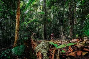 BIB: 
                            <button type="button" onclick="openModal(26422345)" class="btn btn-primary btn-sm float-right btn-popup" data-toggle="modal" data-target=".modal-high-quality">
                        <i class="fas fa-shopping-cart"></i> Add to Cart
                    </button>
                                            <button type="button" onclick="isThisMe(26422345, true)" class="btn btn-success btn-sm float-right btn-popup btn-isme hidden" data-toggle="tooltip" data-placement="bottom" title="นี่คือรูปของคุณใช่ไหม คลิกที่นี่เพื่อเอาเข้าอัลบั้ม">
                        <i class="fas fa-plus"></i> Add to album
                    </button>
                    <button type="button" onclick="isThisMe(26422345, false)" class="btn btn-warning btn-sm float-right btn-popup btn-isnotme hidden">
                        <i class="fas fa-ban"></i> Remove from album
                    </button>