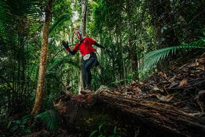 BIB: 
                            <button type="button" onclick="openModal(26425838)" class="btn btn-primary btn-sm float-right btn-popup" data-toggle="modal" data-target=".modal-high-quality">
                        <i class="fas fa-shopping-cart"></i> Add to Cart
                    </button>
                                            <button type="button" onclick="isThisMe(26425838, true)" class="btn btn-success btn-sm float-right btn-popup btn-isme hidden" data-toggle="tooltip" data-placement="bottom" title="นี่คือรูปของคุณใช่ไหม คลิกที่นี่เพื่อเอาเข้าอัลบั้ม">
                        <i class="fas fa-plus"></i> Add to album
                    </button>
                    <button type="button" onclick="isThisMe(26425838, false)" class="btn btn-warning btn-sm float-right btn-popup btn-isnotme hidden">
                        <i class="fas fa-ban"></i> Remove from album
                    </button>