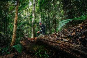 BIB: 
                            <button type="button" onclick="openModal(26425709)" class="btn btn-primary btn-sm float-right btn-popup" data-toggle="modal" data-target=".modal-high-quality">
                        <i class="fas fa-shopping-cart"></i> Add to Cart
                    </button>
                                            <button type="button" onclick="isThisMe(26425709, true)" class="btn btn-success btn-sm float-right btn-popup btn-isme hidden" data-toggle="tooltip" data-placement="bottom" title="นี่คือรูปของคุณใช่ไหม คลิกที่นี่เพื่อเอาเข้าอัลบั้ม">
                        <i class="fas fa-plus"></i> Add to album
                    </button>
                    <button type="button" onclick="isThisMe(26425709, false)" class="btn btn-warning btn-sm float-right btn-popup btn-isnotme hidden">
                        <i class="fas fa-ban"></i> Remove from album
                    </button>