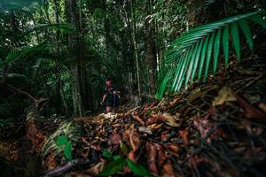 BIB: 
                            <button type="button" onclick="openModal(26429452)" class="btn btn-primary btn-sm float-right btn-popup" data-toggle="modal" data-target=".modal-high-quality">
                        <i class="fas fa-shopping-cart"></i> Add to Cart
                    </button>
                                            <button type="button" onclick="isThisMe(26429452, true)" class="btn btn-success btn-sm float-right btn-popup btn-isme hidden" data-toggle="tooltip" data-placement="bottom" title="นี่คือรูปของคุณใช่ไหม คลิกที่นี่เพื่อเอาเข้าอัลบั้ม">
                        <i class="fas fa-plus"></i> Add to album
                    </button>
                    <button type="button" onclick="isThisMe(26429452, false)" class="btn btn-warning btn-sm float-right btn-popup btn-isnotme hidden">
                        <i class="fas fa-ban"></i> Remove from album
                    </button>