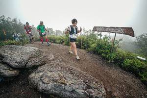 BIB: 
                            <button type="button" onclick="openModal(26420384)" class="btn btn-primary btn-sm float-right btn-popup" data-toggle="modal" data-target=".modal-high-quality">
                        <i class="fas fa-shopping-cart"></i> Add to Cart
                    </button>
                                            <button type="button" onclick="isThisMe(26420384, true)" class="btn btn-success btn-sm float-right btn-popup btn-isme hidden" data-toggle="tooltip" data-placement="bottom" title="นี่คือรูปของคุณใช่ไหม คลิกที่นี่เพื่อเอาเข้าอัลบั้ม">
                        <i class="fas fa-plus"></i> Add to album
                    </button>
                    <button type="button" onclick="isThisMe(26420384, false)" class="btn btn-warning btn-sm float-right btn-popup btn-isnotme hidden">
                        <i class="fas fa-ban"></i> Remove from album
                    </button>