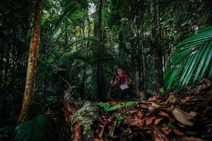 BIB: 
                            <button type="button" onclick="openModal(26422709)" class="btn btn-primary btn-sm float-right btn-popup" data-toggle="modal" data-target=".modal-high-quality">
                        <i class="fas fa-shopping-cart"></i> Add to Cart
                    </button>
                                            <button type="button" onclick="isThisMe(26422709, true)" class="btn btn-success btn-sm float-right btn-popup btn-isme hidden" data-toggle="tooltip" data-placement="bottom" title="นี่คือรูปของคุณใช่ไหม คลิกที่นี่เพื่อเอาเข้าอัลบั้ม">
                        <i class="fas fa-plus"></i> Add to album
                    </button>
                    <button type="button" onclick="isThisMe(26422709, false)" class="btn btn-warning btn-sm float-right btn-popup btn-isnotme hidden">
                        <i class="fas fa-ban"></i> Remove from album
                    </button>