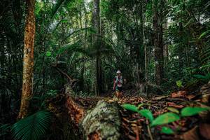 BIB: 
                            <button type="button" onclick="openModal(26422043)" class="btn btn-primary btn-sm float-right btn-popup" data-toggle="modal" data-target=".modal-high-quality">
                        <i class="fas fa-shopping-cart"></i> Add to Cart
                    </button>
                                            <button type="button" onclick="isThisMe(26422043, true)" class="btn btn-success btn-sm float-right btn-popup btn-isme hidden" data-toggle="tooltip" data-placement="bottom" title="นี่คือรูปของคุณใช่ไหม คลิกที่นี่เพื่อเอาเข้าอัลบั้ม">
                        <i class="fas fa-plus"></i> Add to album
                    </button>
                    <button type="button" onclick="isThisMe(26422043, false)" class="btn btn-warning btn-sm float-right btn-popup btn-isnotme hidden">
                        <i class="fas fa-ban"></i> Remove from album
                    </button>