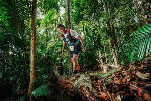 BIB: 
                            <button type="button" onclick="openModal(26421756)" class="btn btn-primary btn-sm float-right btn-popup" data-toggle="modal" data-target=".modal-high-quality">
                        <i class="fas fa-shopping-cart"></i> Add to Cart
                    </button>
                                            <button type="button" onclick="isThisMe(26421756, true)" class="btn btn-success btn-sm float-right btn-popup btn-isme hidden" data-toggle="tooltip" data-placement="bottom" title="นี่คือรูปของคุณใช่ไหม คลิกที่นี่เพื่อเอาเข้าอัลบั้ม">
                        <i class="fas fa-plus"></i> Add to album
                    </button>
                    <button type="button" onclick="isThisMe(26421756, false)" class="btn btn-warning btn-sm float-right btn-popup btn-isnotme hidden">
                        <i class="fas fa-ban"></i> Remove from album
                    </button>