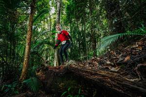 BIB: 
                            <button type="button" onclick="openModal(26425835)" class="btn btn-primary btn-sm float-right btn-popup" data-toggle="modal" data-target=".modal-high-quality">
                        <i class="fas fa-shopping-cart"></i> Add to Cart
                    </button>
                                            <button type="button" onclick="isThisMe(26425835, true)" class="btn btn-success btn-sm float-right btn-popup btn-isme hidden" data-toggle="tooltip" data-placement="bottom" title="นี่คือรูปของคุณใช่ไหม คลิกที่นี่เพื่อเอาเข้าอัลบั้ม">
                        <i class="fas fa-plus"></i> Add to album
                    </button>
                    <button type="button" onclick="isThisMe(26425835, false)" class="btn btn-warning btn-sm float-right btn-popup btn-isnotme hidden">
                        <i class="fas fa-ban"></i> Remove from album
                    </button>