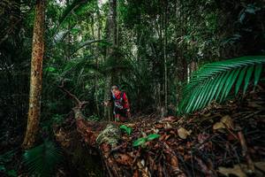 BIB: 
                            <button type="button" onclick="openModal(26426977)" class="btn btn-primary btn-sm float-right btn-popup" data-toggle="modal" data-target=".modal-high-quality">
                        <i class="fas fa-shopping-cart"></i> Add to Cart
                    </button>
                                            <button type="button" onclick="isThisMe(26426977, true)" class="btn btn-success btn-sm float-right btn-popup btn-isme hidden" data-toggle="tooltip" data-placement="bottom" title="นี่คือรูปของคุณใช่ไหม คลิกที่นี่เพื่อเอาเข้าอัลบั้ม">
                        <i class="fas fa-plus"></i> Add to album
                    </button>
                    <button type="button" onclick="isThisMe(26426977, false)" class="btn btn-warning btn-sm float-right btn-popup btn-isnotme hidden">
                        <i class="fas fa-ban"></i> Remove from album
                    </button>