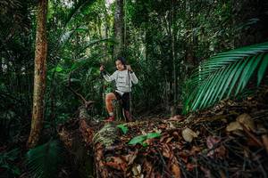 BIB: 
                            <button type="button" onclick="openModal(26426781)" class="btn btn-primary btn-sm float-right btn-popup" data-toggle="modal" data-target=".modal-high-quality">
                        <i class="fas fa-shopping-cart"></i> Add to Cart
                    </button>
                                            <button type="button" onclick="isThisMe(26426781, true)" class="btn btn-success btn-sm float-right btn-popup btn-isme hidden" data-toggle="tooltip" data-placement="bottom" title="นี่คือรูปของคุณใช่ไหม คลิกที่นี่เพื่อเอาเข้าอัลบั้ม">
                        <i class="fas fa-plus"></i> Add to album
                    </button>
                    <button type="button" onclick="isThisMe(26426781, false)" class="btn btn-warning btn-sm float-right btn-popup btn-isnotme hidden">
                        <i class="fas fa-ban"></i> Remove from album
                    </button>