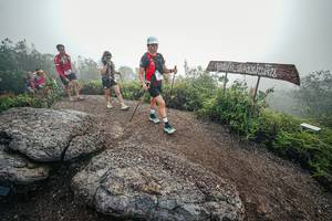 BIB: 
                            <button type="button" onclick="openModal(26420080)" class="btn btn-primary btn-sm float-right btn-popup" data-toggle="modal" data-target=".modal-high-quality">
                        <i class="fas fa-shopping-cart"></i> Add to Cart
                    </button>
                                            <button type="button" onclick="isThisMe(26420080, true)" class="btn btn-success btn-sm float-right btn-popup btn-isme hidden" data-toggle="tooltip" data-placement="bottom" title="นี่คือรูปของคุณใช่ไหม คลิกที่นี่เพื่อเอาเข้าอัลบั้ม">
                        <i class="fas fa-plus"></i> Add to album
                    </button>
                    <button type="button" onclick="isThisMe(26420080, false)" class="btn btn-warning btn-sm float-right btn-popup btn-isnotme hidden">
                        <i class="fas fa-ban"></i> Remove from album
                    </button>