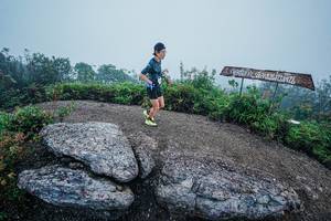 BIB: 
                            <button type="button" onclick="openModal(26416885)" class="btn btn-primary btn-sm float-right btn-popup" data-toggle="modal" data-target=".modal-high-quality">
                        <i class="fas fa-shopping-cart"></i> Add to Cart
                    </button>
                                            <button type="button" onclick="isThisMe(26416885, true)" class="btn btn-success btn-sm float-right btn-popup btn-isme hidden" data-toggle="tooltip" data-placement="bottom" title="นี่คือรูปของคุณใช่ไหม คลิกที่นี่เพื่อเอาเข้าอัลบั้ม">
                        <i class="fas fa-plus"></i> Add to album
                    </button>
                    <button type="button" onclick="isThisMe(26416885, false)" class="btn btn-warning btn-sm float-right btn-popup btn-isnotme hidden">
                        <i class="fas fa-ban"></i> Remove from album
                    </button>