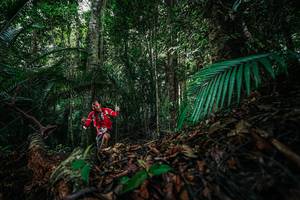 BIB: 
                            <button type="button" onclick="openModal(26431653)" class="btn btn-primary btn-sm float-right btn-popup" data-toggle="modal" data-target=".modal-high-quality">
                        <i class="fas fa-shopping-cart"></i> Add to Cart
                    </button>
                                            <button type="button" onclick="isThisMe(26431653, true)" class="btn btn-success btn-sm float-right btn-popup btn-isme hidden" data-toggle="tooltip" data-placement="bottom" title="นี่คือรูปของคุณใช่ไหม คลิกที่นี่เพื่อเอาเข้าอัลบั้ม">
                        <i class="fas fa-plus"></i> Add to album
                    </button>
                    <button type="button" onclick="isThisMe(26431653, false)" class="btn btn-warning btn-sm float-right btn-popup btn-isnotme hidden">
                        <i class="fas fa-ban"></i> Remove from album
                    </button>