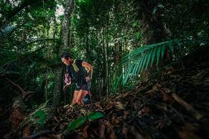 BIB: 
                            <button type="button" onclick="openModal(26431813)" class="btn btn-primary btn-sm float-right btn-popup" data-toggle="modal" data-target=".modal-high-quality">
                        <i class="fas fa-shopping-cart"></i> Add to Cart
                    </button>
                                            <button type="button" onclick="isThisMe(26431813, true)" class="btn btn-success btn-sm float-right btn-popup btn-isme hidden" data-toggle="tooltip" data-placement="bottom" title="นี่คือรูปของคุณใช่ไหม คลิกที่นี่เพื่อเอาเข้าอัลบั้ม">
                        <i class="fas fa-plus"></i> Add to album
                    </button>
                    <button type="button" onclick="isThisMe(26431813, false)" class="btn btn-warning btn-sm float-right btn-popup btn-isnotme hidden">
                        <i class="fas fa-ban"></i> Remove from album
                    </button>