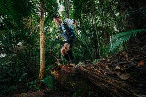 BIB: 
                            <button type="button" onclick="openModal(26426320)" class="btn btn-primary btn-sm float-right btn-popup" data-toggle="modal" data-target=".modal-high-quality">
                        <i class="fas fa-shopping-cart"></i> Add to Cart
                    </button>
                                            <button type="button" onclick="isThisMe(26426320, true)" class="btn btn-success btn-sm float-right btn-popup btn-isme hidden" data-toggle="tooltip" data-placement="bottom" title="นี่คือรูปของคุณใช่ไหม คลิกที่นี่เพื่อเอาเข้าอัลบั้ม">
                        <i class="fas fa-plus"></i> Add to album
                    </button>
                    <button type="button" onclick="isThisMe(26426320, false)" class="btn btn-warning btn-sm float-right btn-popup btn-isnotme hidden">
                        <i class="fas fa-ban"></i> Remove from album
                    </button>