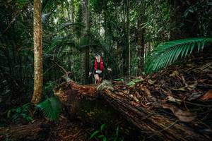 BIB: 
                            <button type="button" onclick="openModal(26426348)" class="btn btn-primary btn-sm float-right btn-popup" data-toggle="modal" data-target=".modal-high-quality">
                        <i class="fas fa-shopping-cart"></i> Add to Cart
                    </button>
                                            <button type="button" onclick="isThisMe(26426348, true)" class="btn btn-success btn-sm float-right btn-popup btn-isme hidden" data-toggle="tooltip" data-placement="bottom" title="นี่คือรูปของคุณใช่ไหม คลิกที่นี่เพื่อเอาเข้าอัลบั้ม">
                        <i class="fas fa-plus"></i> Add to album
                    </button>
                    <button type="button" onclick="isThisMe(26426348, false)" class="btn btn-warning btn-sm float-right btn-popup btn-isnotme hidden">
                        <i class="fas fa-ban"></i> Remove from album
                    </button>