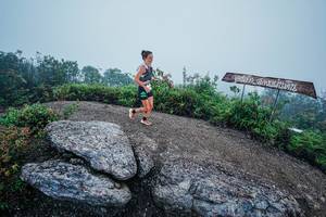 BIB: 
                            <button type="button" onclick="openModal(26416856)" class="btn btn-primary btn-sm float-right btn-popup" data-toggle="modal" data-target=".modal-high-quality">
                        <i class="fas fa-shopping-cart"></i> Add to Cart
                    </button>
                                            <button type="button" onclick="isThisMe(26416856, true)" class="btn btn-success btn-sm float-right btn-popup btn-isme hidden" data-toggle="tooltip" data-placement="bottom" title="นี่คือรูปของคุณใช่ไหม คลิกที่นี่เพื่อเอาเข้าอัลบั้ม">
                        <i class="fas fa-plus"></i> Add to album
                    </button>
                    <button type="button" onclick="isThisMe(26416856, false)" class="btn btn-warning btn-sm float-right btn-popup btn-isnotme hidden">
                        <i class="fas fa-ban"></i> Remove from album
                    </button>