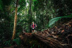 BIB: 
                            <button type="button" onclick="openModal(26425934)" class="btn btn-primary btn-sm float-right btn-popup" data-toggle="modal" data-target=".modal-high-quality">
                        <i class="fas fa-shopping-cart"></i> Add to Cart
                    </button>
                                            <button type="button" onclick="isThisMe(26425934, true)" class="btn btn-success btn-sm float-right btn-popup btn-isme hidden" data-toggle="tooltip" data-placement="bottom" title="นี่คือรูปของคุณใช่ไหม คลิกที่นี่เพื่อเอาเข้าอัลบั้ม">
                        <i class="fas fa-plus"></i> Add to album
                    </button>
                    <button type="button" onclick="isThisMe(26425934, false)" class="btn btn-warning btn-sm float-right btn-popup btn-isnotme hidden">
                        <i class="fas fa-ban"></i> Remove from album
                    </button>