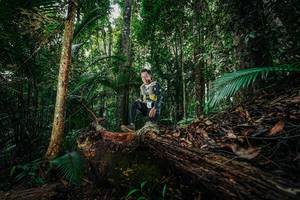 BIB: 
                            <button type="button" onclick="openModal(26426257)" class="btn btn-primary btn-sm float-right btn-popup" data-toggle="modal" data-target=".modal-high-quality">
                        <i class="fas fa-shopping-cart"></i> Add to Cart
                    </button>
                                            <button type="button" onclick="isThisMe(26426257, true)" class="btn btn-success btn-sm float-right btn-popup btn-isme hidden" data-toggle="tooltip" data-placement="bottom" title="นี่คือรูปของคุณใช่ไหม คลิกที่นี่เพื่อเอาเข้าอัลบั้ม">
                        <i class="fas fa-plus"></i> Add to album
                    </button>
                    <button type="button" onclick="isThisMe(26426257, false)" class="btn btn-warning btn-sm float-right btn-popup btn-isnotme hidden">
                        <i class="fas fa-ban"></i> Remove from album
                    </button>