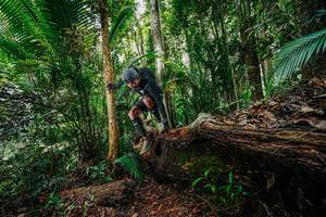 BIB: 
                            <button type="button" onclick="openModal(26425720)" class="btn btn-primary btn-sm float-right btn-popup" data-toggle="modal" data-target=".modal-high-quality">
                        <i class="fas fa-shopping-cart"></i> Add to Cart
                    </button>
                                            <button type="button" onclick="isThisMe(26425720, true)" class="btn btn-success btn-sm float-right btn-popup btn-isme hidden" data-toggle="tooltip" data-placement="bottom" title="นี่คือรูปของคุณใช่ไหม คลิกที่นี่เพื่อเอาเข้าอัลบั้ม">
                        <i class="fas fa-plus"></i> Add to album
                    </button>
                    <button type="button" onclick="isThisMe(26425720, false)" class="btn btn-warning btn-sm float-right btn-popup btn-isnotme hidden">
                        <i class="fas fa-ban"></i> Remove from album
                    </button>