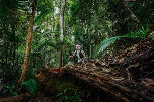 BIB: 
                            <button type="button" onclick="openModal(26425277)" class="btn btn-primary btn-sm float-right btn-popup" data-toggle="modal" data-target=".modal-high-quality">
                        <i class="fas fa-shopping-cart"></i> Add to Cart
                    </button>
                                            <button type="button" onclick="isThisMe(26425277, true)" class="btn btn-success btn-sm float-right btn-popup btn-isme hidden" data-toggle="tooltip" data-placement="bottom" title="นี่คือรูปของคุณใช่ไหม คลิกที่นี่เพื่อเอาเข้าอัลบั้ม">
                        <i class="fas fa-plus"></i> Add to album
                    </button>
                    <button type="button" onclick="isThisMe(26425277, false)" class="btn btn-warning btn-sm float-right btn-popup btn-isnotme hidden">
                        <i class="fas fa-ban"></i> Remove from album
                    </button>