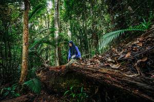 BIB: 
                            <button type="button" onclick="openModal(26425651)" class="btn btn-primary btn-sm float-right btn-popup" data-toggle="modal" data-target=".modal-high-quality">
                        <i class="fas fa-shopping-cart"></i> Add to Cart
                    </button>
                                            <button type="button" onclick="isThisMe(26425651, true)" class="btn btn-success btn-sm float-right btn-popup btn-isme hidden" data-toggle="tooltip" data-placement="bottom" title="นี่คือรูปของคุณใช่ไหม คลิกที่นี่เพื่อเอาเข้าอัลบั้ม">
                        <i class="fas fa-plus"></i> Add to album
                    </button>
                    <button type="button" onclick="isThisMe(26425651, false)" class="btn btn-warning btn-sm float-right btn-popup btn-isnotme hidden">
                        <i class="fas fa-ban"></i> Remove from album
                    </button>