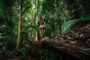 BIB: 
                            <button type="button" onclick="openModal(26425800)" class="btn btn-primary btn-sm float-right btn-popup" data-toggle="modal" data-target=".modal-high-quality">
                        <i class="fas fa-shopping-cart"></i> Add to Cart
                    </button>
                                            <button type="button" onclick="isThisMe(26425800, true)" class="btn btn-success btn-sm float-right btn-popup btn-isme hidden" data-toggle="tooltip" data-placement="bottom" title="นี่คือรูปของคุณใช่ไหม คลิกที่นี่เพื่อเอาเข้าอัลบั้ม">
                        <i class="fas fa-plus"></i> Add to album
                    </button>
                    <button type="button" onclick="isThisMe(26425800, false)" class="btn btn-warning btn-sm float-right btn-popup btn-isnotme hidden">
                        <i class="fas fa-ban"></i> Remove from album
                    </button>