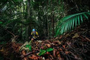 BIB: 
                            <button type="button" onclick="openModal(26429006)" class="btn btn-primary btn-sm float-right btn-popup" data-toggle="modal" data-target=".modal-high-quality">
                        <i class="fas fa-shopping-cart"></i> Add to Cart
                    </button>
                                            <button type="button" onclick="isThisMe(26429006, true)" class="btn btn-success btn-sm float-right btn-popup btn-isme hidden" data-toggle="tooltip" data-placement="bottom" title="นี่คือรูปของคุณใช่ไหม คลิกที่นี่เพื่อเอาเข้าอัลบั้ม">
                        <i class="fas fa-plus"></i> Add to album
                    </button>
                    <button type="button" onclick="isThisMe(26429006, false)" class="btn btn-warning btn-sm float-right btn-popup btn-isnotme hidden">
                        <i class="fas fa-ban"></i> Remove from album
                    </button>