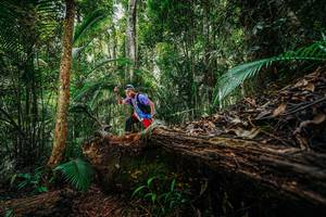 BIB: 
                            <button type="button" onclick="openModal(26424742)" class="btn btn-primary btn-sm float-right btn-popup" data-toggle="modal" data-target=".modal-high-quality">
                        <i class="fas fa-shopping-cart"></i> Add to Cart
                    </button>
                                            <button type="button" onclick="isThisMe(26424742, true)" class="btn btn-success btn-sm float-right btn-popup btn-isme hidden" data-toggle="tooltip" data-placement="bottom" title="นี่คือรูปของคุณใช่ไหม คลิกที่นี่เพื่อเอาเข้าอัลบั้ม">
                        <i class="fas fa-plus"></i> Add to album
                    </button>
                    <button type="button" onclick="isThisMe(26424742, false)" class="btn btn-warning btn-sm float-right btn-popup btn-isnotme hidden">
                        <i class="fas fa-ban"></i> Remove from album
                    </button>