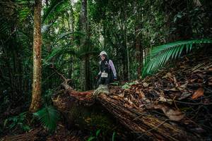 BIB: 
                            <button type="button" onclick="openModal(26426576)" class="btn btn-primary btn-sm float-right btn-popup" data-toggle="modal" data-target=".modal-high-quality">
                        <i class="fas fa-shopping-cart"></i> Add to Cart
                    </button>
                                            <button type="button" onclick="isThisMe(26426576, true)" class="btn btn-success btn-sm float-right btn-popup btn-isme hidden" data-toggle="tooltip" data-placement="bottom" title="นี่คือรูปของคุณใช่ไหม คลิกที่นี่เพื่อเอาเข้าอัลบั้ม">
                        <i class="fas fa-plus"></i> Add to album
                    </button>
                    <button type="button" onclick="isThisMe(26426576, false)" class="btn btn-warning btn-sm float-right btn-popup btn-isnotme hidden">
                        <i class="fas fa-ban"></i> Remove from album
                    </button>