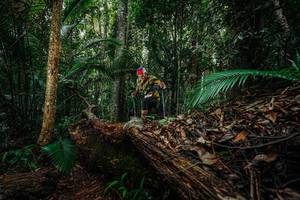 BIB: 
                            <button type="button" onclick="openModal(26426480)" class="btn btn-primary btn-sm float-right btn-popup" data-toggle="modal" data-target=".modal-high-quality">
                        <i class="fas fa-shopping-cart"></i> Add to Cart
                    </button>
                                            <button type="button" onclick="isThisMe(26426480, true)" class="btn btn-success btn-sm float-right btn-popup btn-isme hidden" data-toggle="tooltip" data-placement="bottom" title="นี่คือรูปของคุณใช่ไหม คลิกที่นี่เพื่อเอาเข้าอัลบั้ม">
                        <i class="fas fa-plus"></i> Add to album
                    </button>
                    <button type="button" onclick="isThisMe(26426480, false)" class="btn btn-warning btn-sm float-right btn-popup btn-isnotme hidden">
                        <i class="fas fa-ban"></i> Remove from album
                    </button>