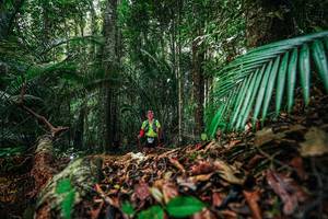 BIB: 
                            <button type="button" onclick="openModal(26429697)" class="btn btn-primary btn-sm float-right btn-popup" data-toggle="modal" data-target=".modal-high-quality">
                        <i class="fas fa-shopping-cart"></i> Add to Cart
                    </button>
                                            <button type="button" onclick="isThisMe(26429697, true)" class="btn btn-success btn-sm float-right btn-popup btn-isme hidden" data-toggle="tooltip" data-placement="bottom" title="นี่คือรูปของคุณใช่ไหม คลิกที่นี่เพื่อเอาเข้าอัลบั้ม">
                        <i class="fas fa-plus"></i> Add to album
                    </button>
                    <button type="button" onclick="isThisMe(26429697, false)" class="btn btn-warning btn-sm float-right btn-popup btn-isnotme hidden">
                        <i class="fas fa-ban"></i> Remove from album
                    </button>