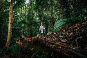 BIB: 
                            <button type="button" onclick="openModal(26426237)" class="btn btn-primary btn-sm float-right btn-popup" data-toggle="modal" data-target=".modal-high-quality">
                        <i class="fas fa-shopping-cart"></i> Add to Cart
                    </button>
                                            <button type="button" onclick="isThisMe(26426237, true)" class="btn btn-success btn-sm float-right btn-popup btn-isme hidden" data-toggle="tooltip" data-placement="bottom" title="นี่คือรูปของคุณใช่ไหม คลิกที่นี่เพื่อเอาเข้าอัลบั้ม">
                        <i class="fas fa-plus"></i> Add to album
                    </button>
                    <button type="button" onclick="isThisMe(26426237, false)" class="btn btn-warning btn-sm float-right btn-popup btn-isnotme hidden">
                        <i class="fas fa-ban"></i> Remove from album
                    </button>