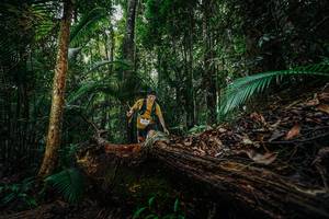 BIB: 
                            <button type="button" onclick="openModal(26425868)" class="btn btn-primary btn-sm float-right btn-popup" data-toggle="modal" data-target=".modal-high-quality">
                        <i class="fas fa-shopping-cart"></i> Add to Cart
                    </button>
                                            <button type="button" onclick="isThisMe(26425868, true)" class="btn btn-success btn-sm float-right btn-popup btn-isme hidden" data-toggle="tooltip" data-placement="bottom" title="นี่คือรูปของคุณใช่ไหม คลิกที่นี่เพื่อเอาเข้าอัลบั้ม">
                        <i class="fas fa-plus"></i> Add to album
                    </button>
                    <button type="button" onclick="isThisMe(26425868, false)" class="btn btn-warning btn-sm float-right btn-popup btn-isnotme hidden">
                        <i class="fas fa-ban"></i> Remove from album
                    </button>