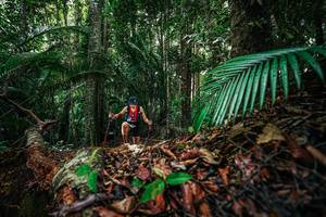 BIB: 
                            <button type="button" onclick="openModal(26430017)" class="btn btn-primary btn-sm float-right btn-popup" data-toggle="modal" data-target=".modal-high-quality">
                        <i class="fas fa-shopping-cart"></i> Add to Cart
                    </button>
                                            <button type="button" onclick="isThisMe(26430017, true)" class="btn btn-success btn-sm float-right btn-popup btn-isme hidden" data-toggle="tooltip" data-placement="bottom" title="นี่คือรูปของคุณใช่ไหม คลิกที่นี่เพื่อเอาเข้าอัลบั้ม">
                        <i class="fas fa-plus"></i> Add to album
                    </button>
                    <button type="button" onclick="isThisMe(26430017, false)" class="btn btn-warning btn-sm float-right btn-popup btn-isnotme hidden">
                        <i class="fas fa-ban"></i> Remove from album
                    </button>