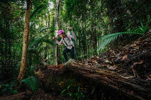 BIB: 
                            <button type="button" onclick="openModal(26425641)" class="btn btn-primary btn-sm float-right btn-popup" data-toggle="modal" data-target=".modal-high-quality">
                        <i class="fas fa-shopping-cart"></i> Add to Cart
                    </button>
                                            <button type="button" onclick="isThisMe(26425641, true)" class="btn btn-success btn-sm float-right btn-popup btn-isme hidden" data-toggle="tooltip" data-placement="bottom" title="นี่คือรูปของคุณใช่ไหม คลิกที่นี่เพื่อเอาเข้าอัลบั้ม">
                        <i class="fas fa-plus"></i> Add to album
                    </button>
                    <button type="button" onclick="isThisMe(26425641, false)" class="btn btn-warning btn-sm float-right btn-popup btn-isnotme hidden">
                        <i class="fas fa-ban"></i> Remove from album
                    </button>